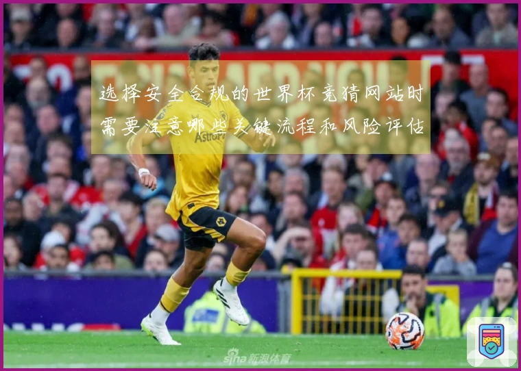 选择安全合规的世界杯竞猜网站时需要注意哪些关键流程和风险评估